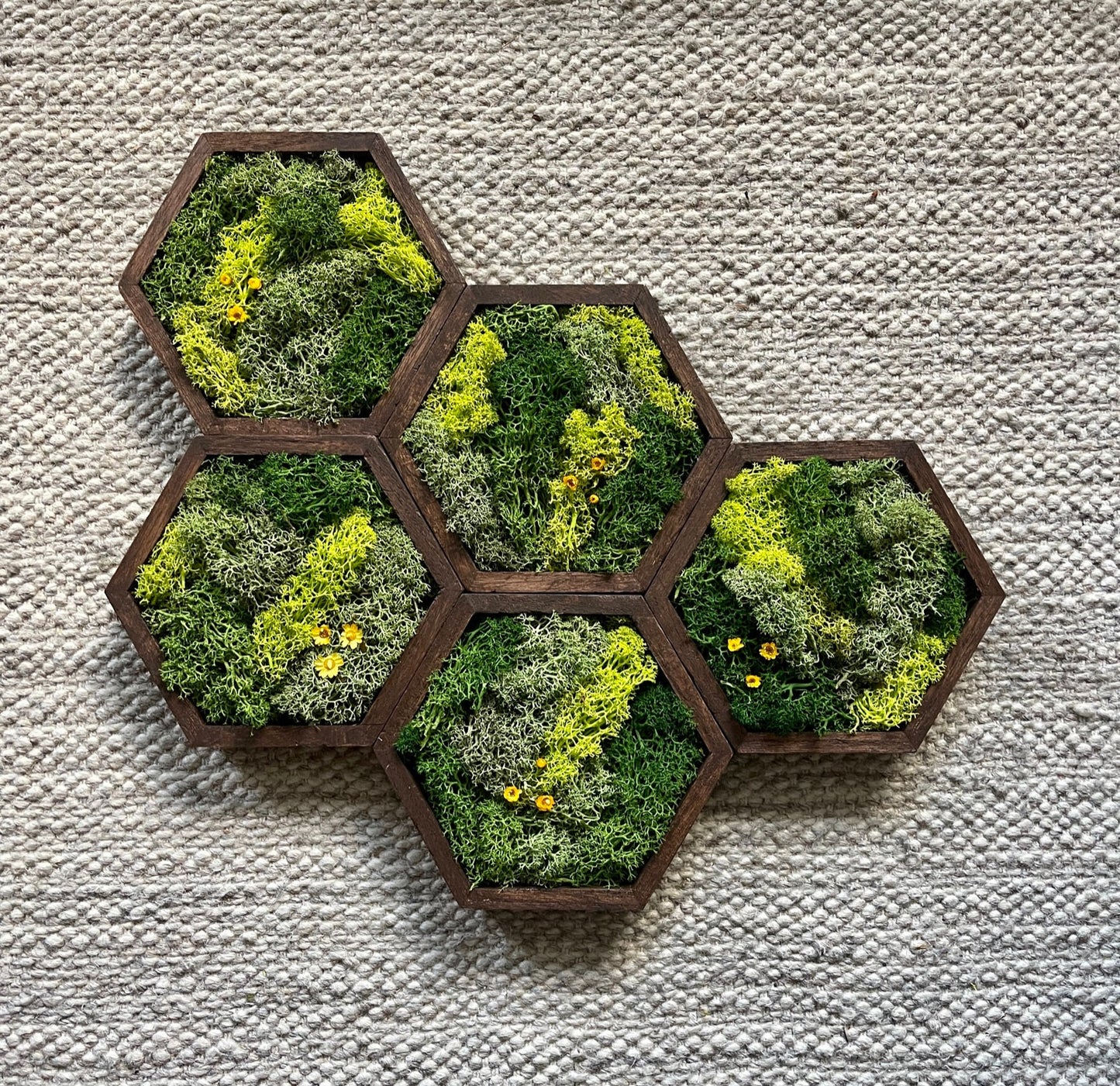 Honeycomb Moss Wall Art: Reindeer Moss & Preserved Flowers, Set of 1 | USA - TARIFF FREE