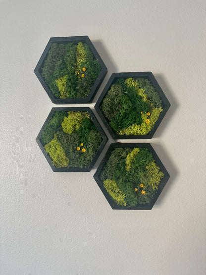 Hexagon Moss Wall Art: Black Frame, Preserved Reindeer Moss & Flowers | USA - TARIFF FREE