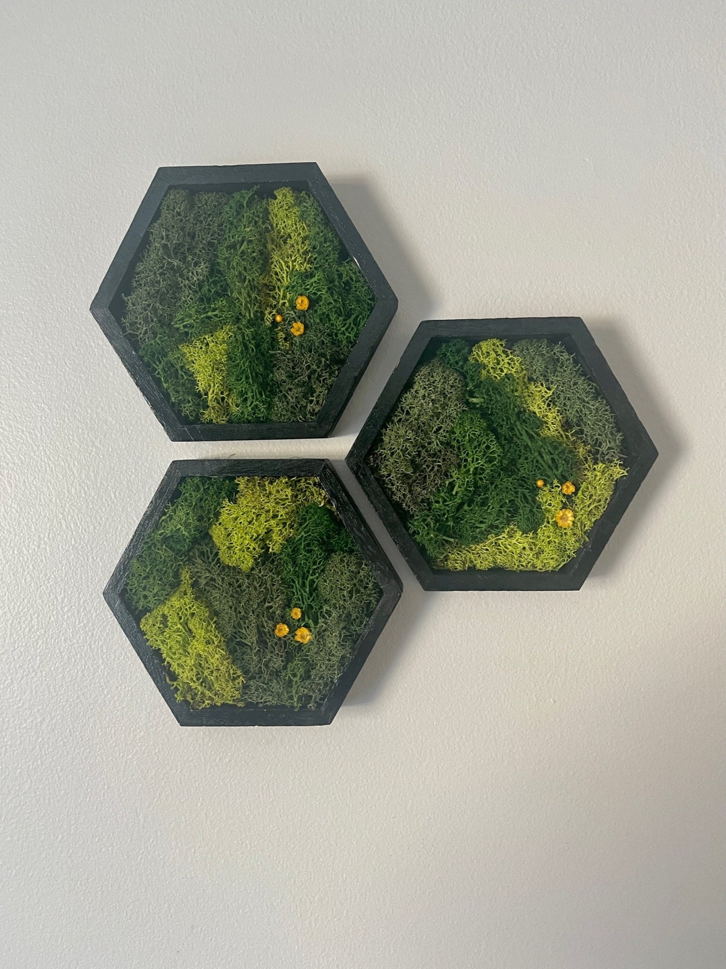 Hexagon Moss Wall Art: Black Frame, Preserved Reindeer Moss & Flowers | USA - TARIFF FREE