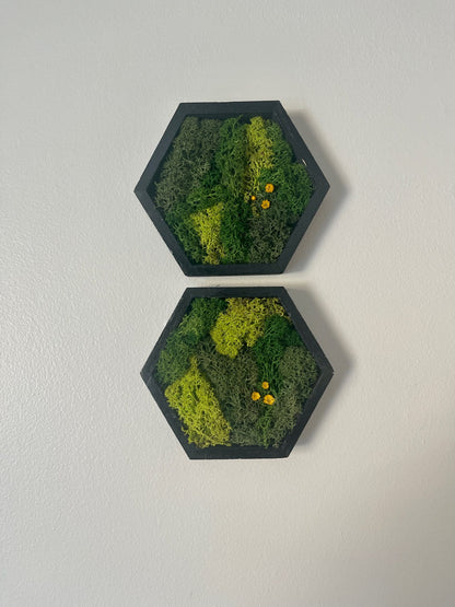 Hexagon Moss Wall Art: Black Frame, Preserved Reindeer Moss & Flowers | USA - TARIFF FREE