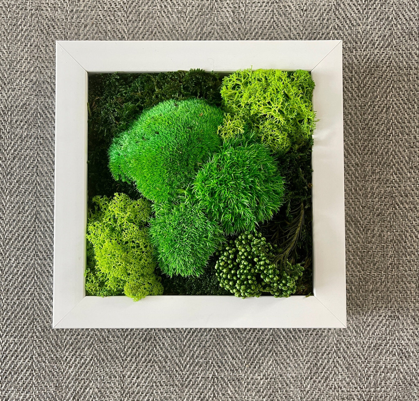 Moss Wall Decor | Green Wall Art | Preserved Moss | Moss Wall Art | Live Moss | Eco-Friendly Decor | House Warming Gift