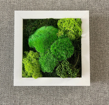 Moss Wall Decor | Green Wall Art | Preserved Moss | Moss Wall Art | Live Moss | Eco-Friendly Decor | House Warming Gift