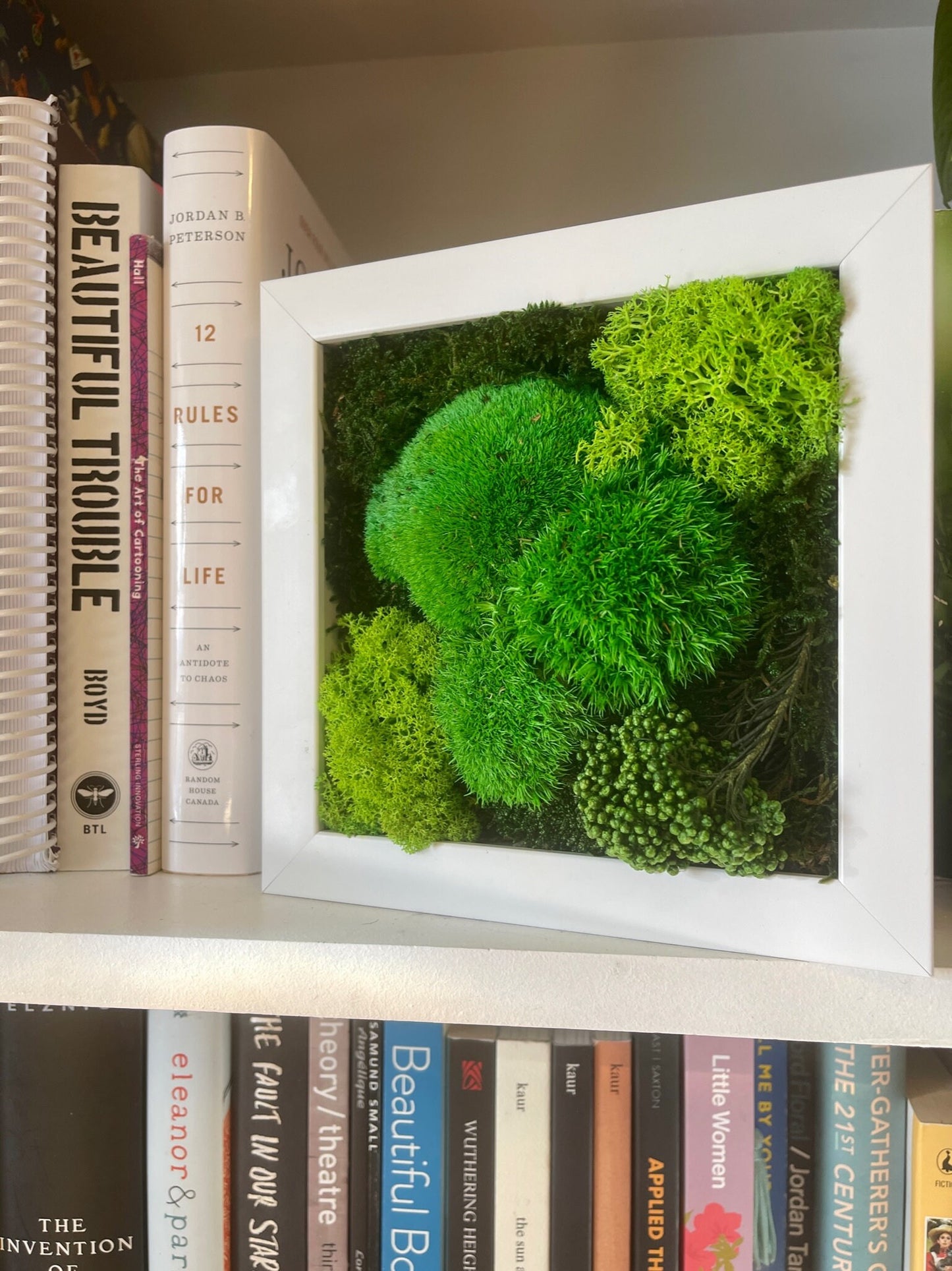 Moss Wall Decor | Green Wall Art | Preserved Moss | Moss Wall Art | Live Moss | Eco-Friendly Decor | House Warming Gift