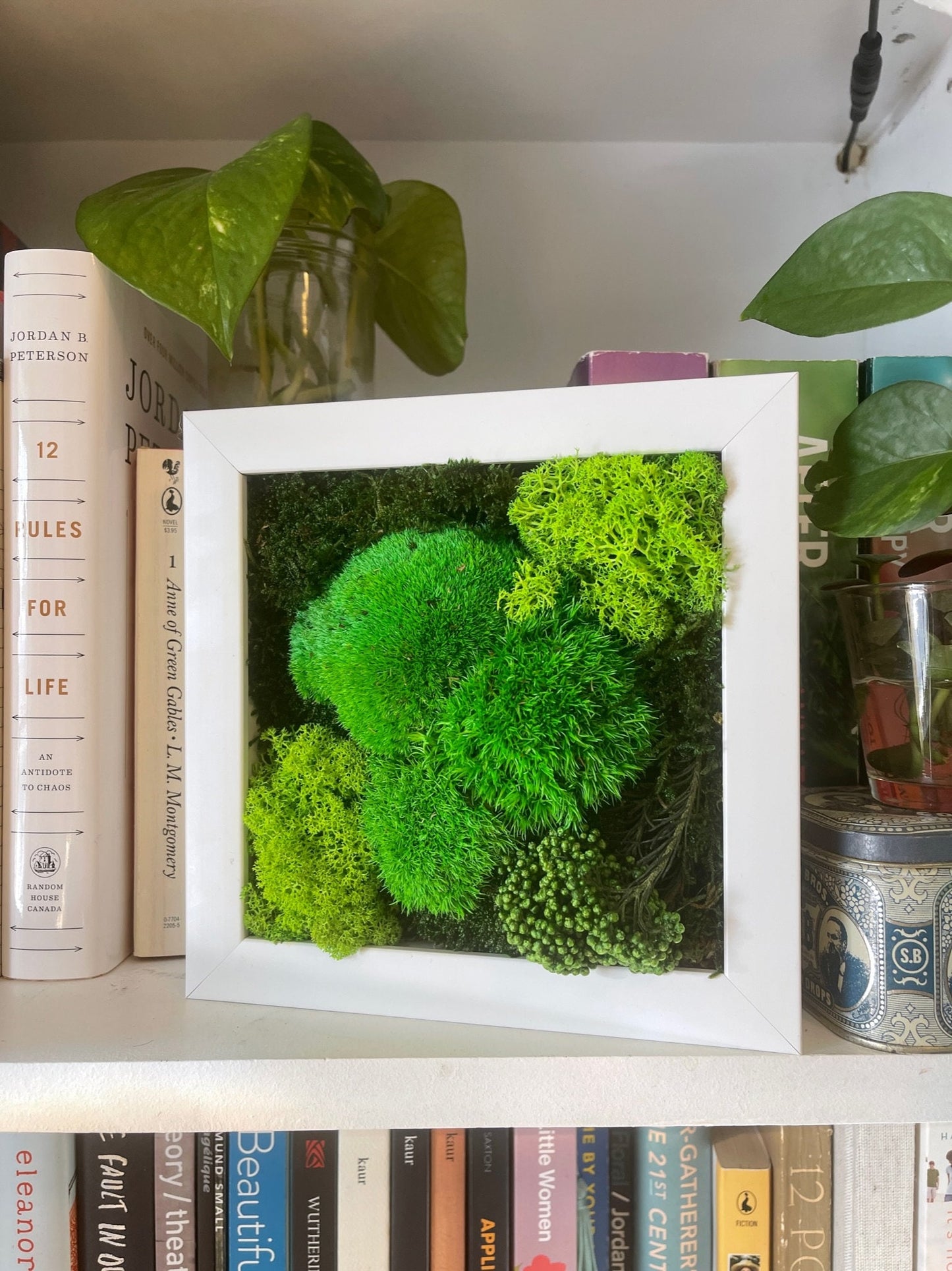 Preserved Reindeer Moss Wall Art: Eco-Friendly Green Decor | USA - TARIFF FREE