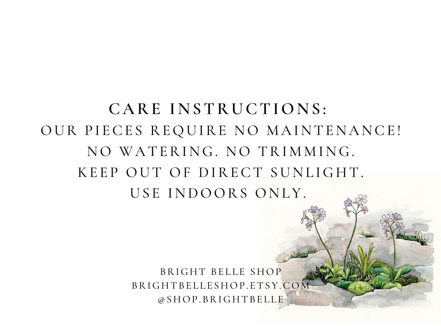 Preserved Moss Centerpiece: Pole & Reindeer Moss in Black Wood Bowl | USA - TARIFF FREE