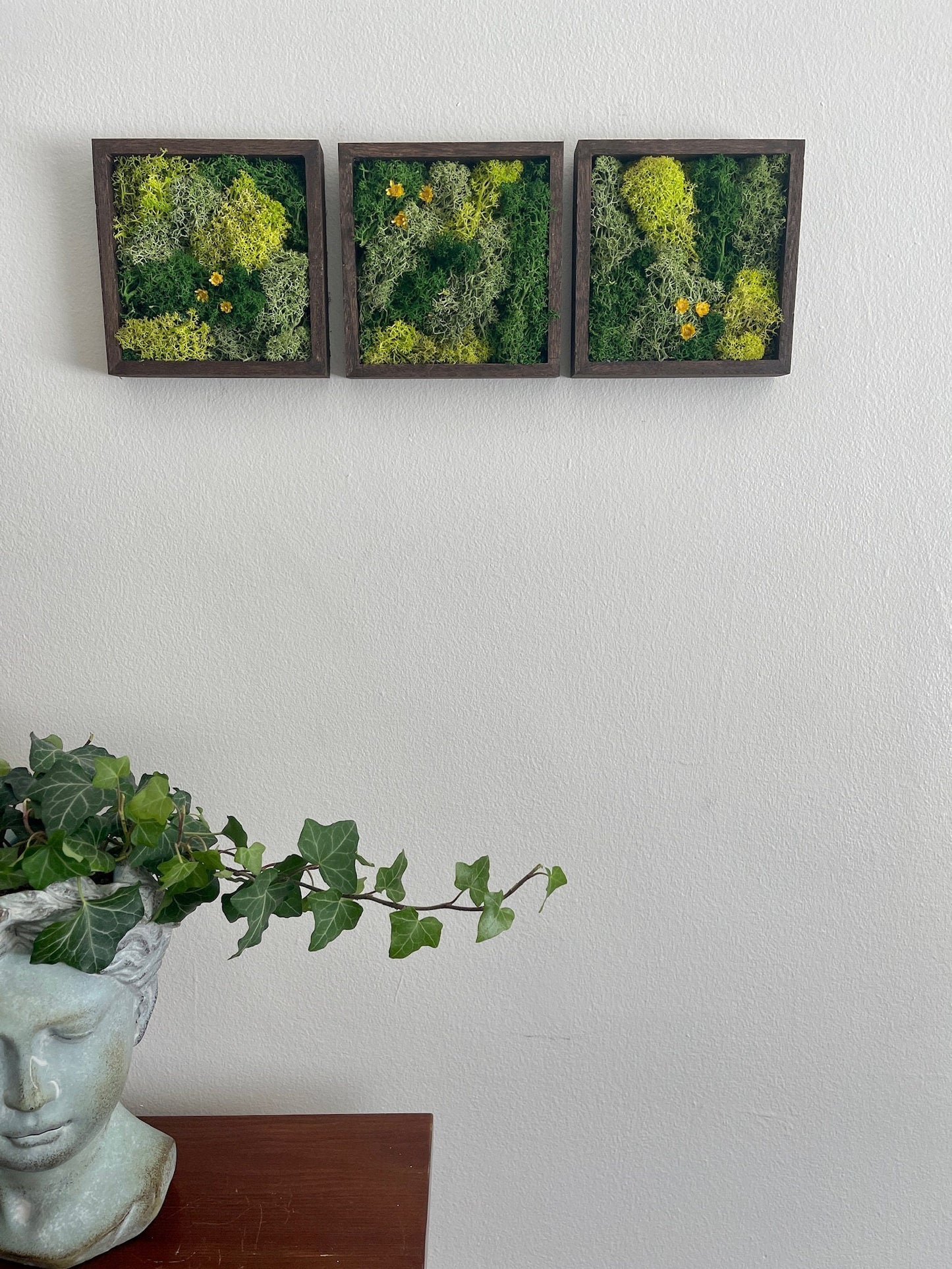 Preserved Reindeer Moss Wall Art: Wood Frame, Green Decor | USA - TARIFF FREE