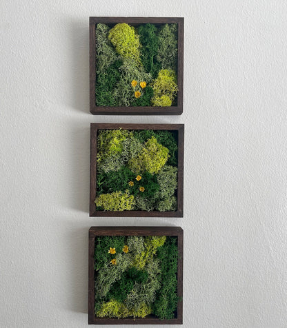 Preserved Reindeer Moss Wall Art: Wood Frame, Green Decor | USA - TARIFF FREE