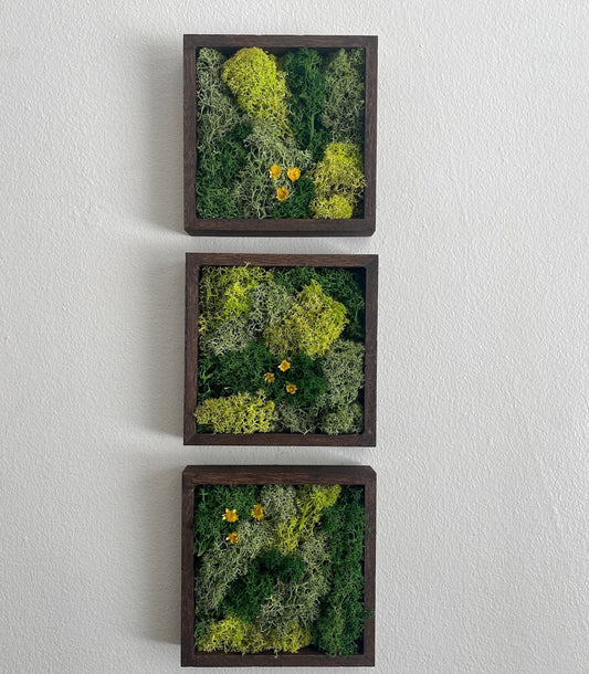 Preserved Reindeer Moss Wall Art: Wood Frame, Green Decor | USA - TARIFF FREE