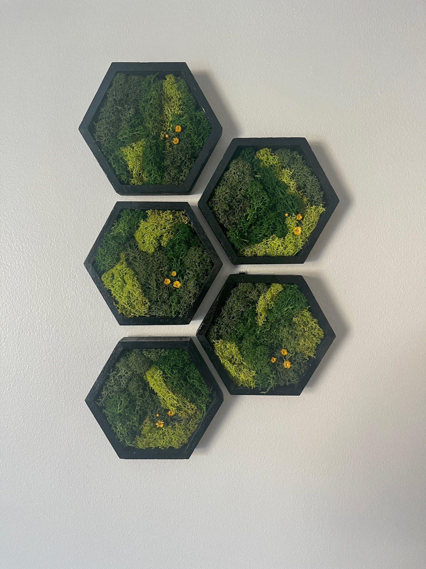 Moss Wall Art | Hexagon Moss Decor | Single to Set of Twelve | Wood Frame | Black Frame | Green with Yellow Preserved Flowers Reindeer Moss