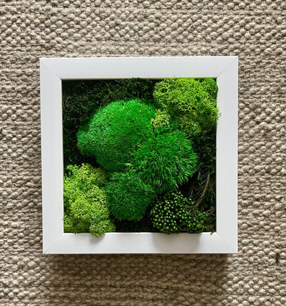 Moss Wall Decor | Green Wall Art | Preserved Moss | Moss Wall Art | Live Moss | Eco-Friendly Decor | House Warming Gift
