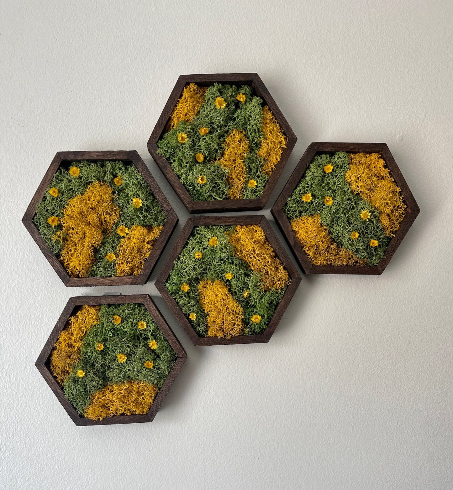 Moss Wall Art  | Honeycomb Moss Single to Set of Twelve |  Home Decor | Wood Hexagon | Green Yellow Preserved Flowers | Mothers Day Gift