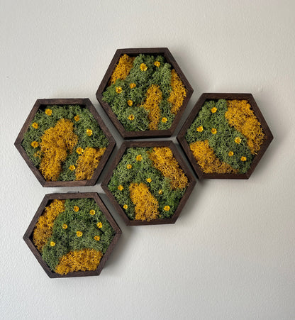 Moss Wall Art  | Honeycomb Moss Single to Set of Twelve |  Home Decor | Wood Hexagon | Green Yellow Preserved Flowers | Mothers Day Gift