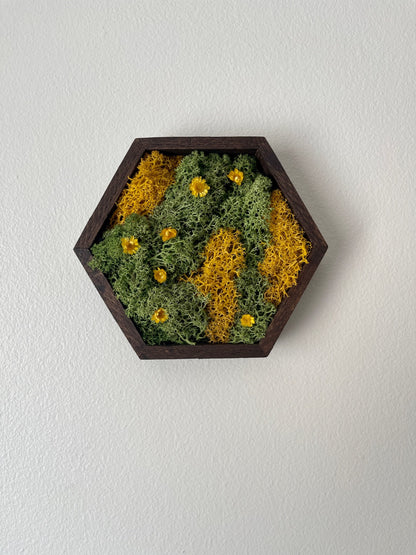 Honeycomb Wood Framed Moss Wall Art: Preserved Reindeer Moss Decor | USA - TARIFF FREE