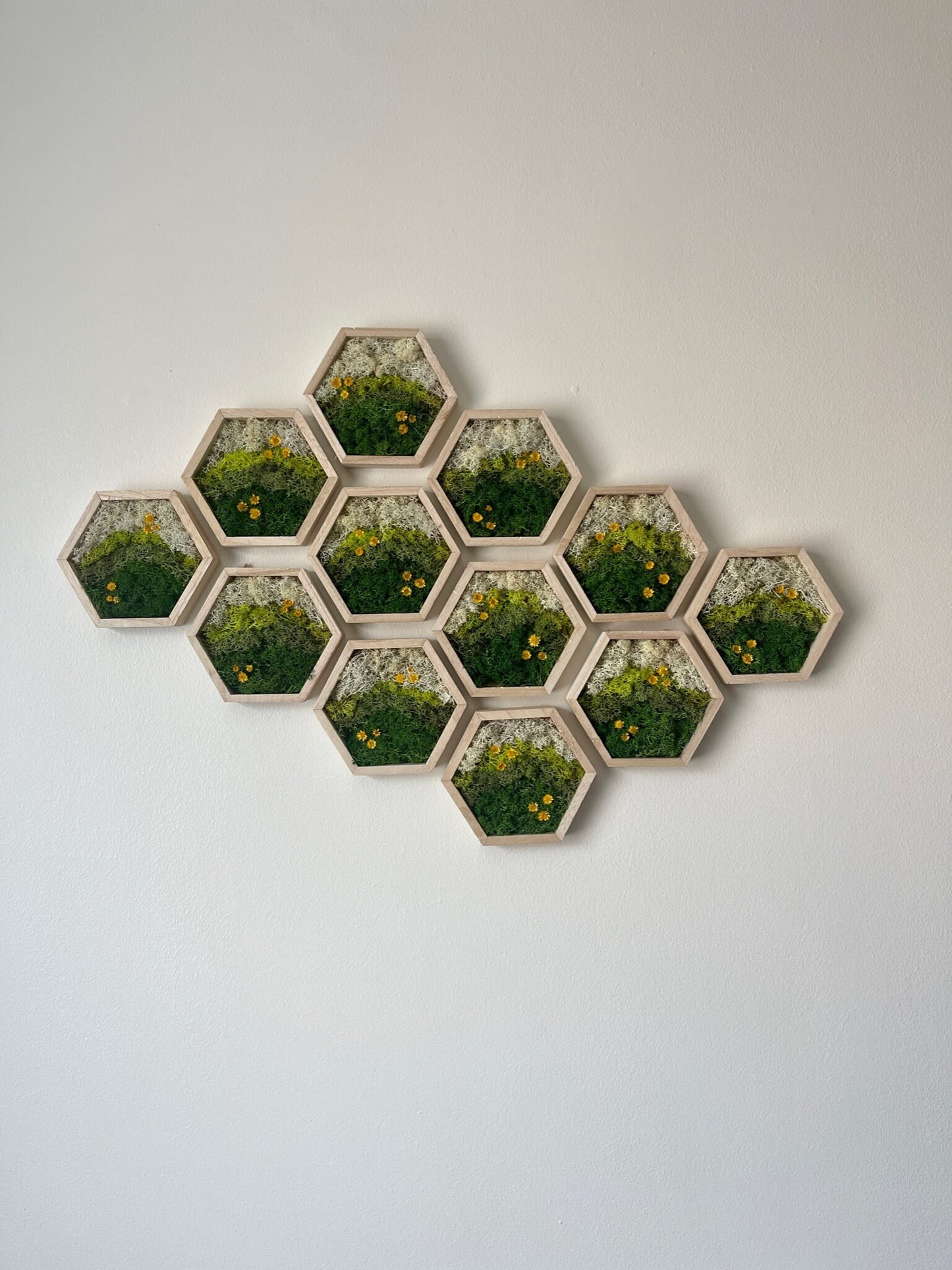 Moss Wall Art | Preserved Moss Decor | Single to Set of Twelve | Wood Hexagon Honeycomb | Mothers Day Gift