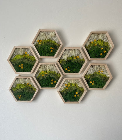 Moss Wall Art | Preserved Moss Decor | Single to Set of Twelve | Wood Hexagon Honeycomb | Mothers Day Gift