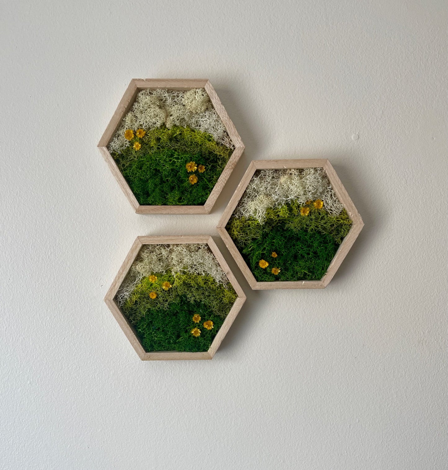 Preserved Moss Wall Art: Wood Hexagon Honeycomb Decor | USA - TARIFF FREE