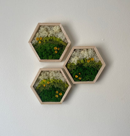 Preserved Moss Wall Art: Wood Hexagon Honeycomb Decor | USA - TARIFF FREE