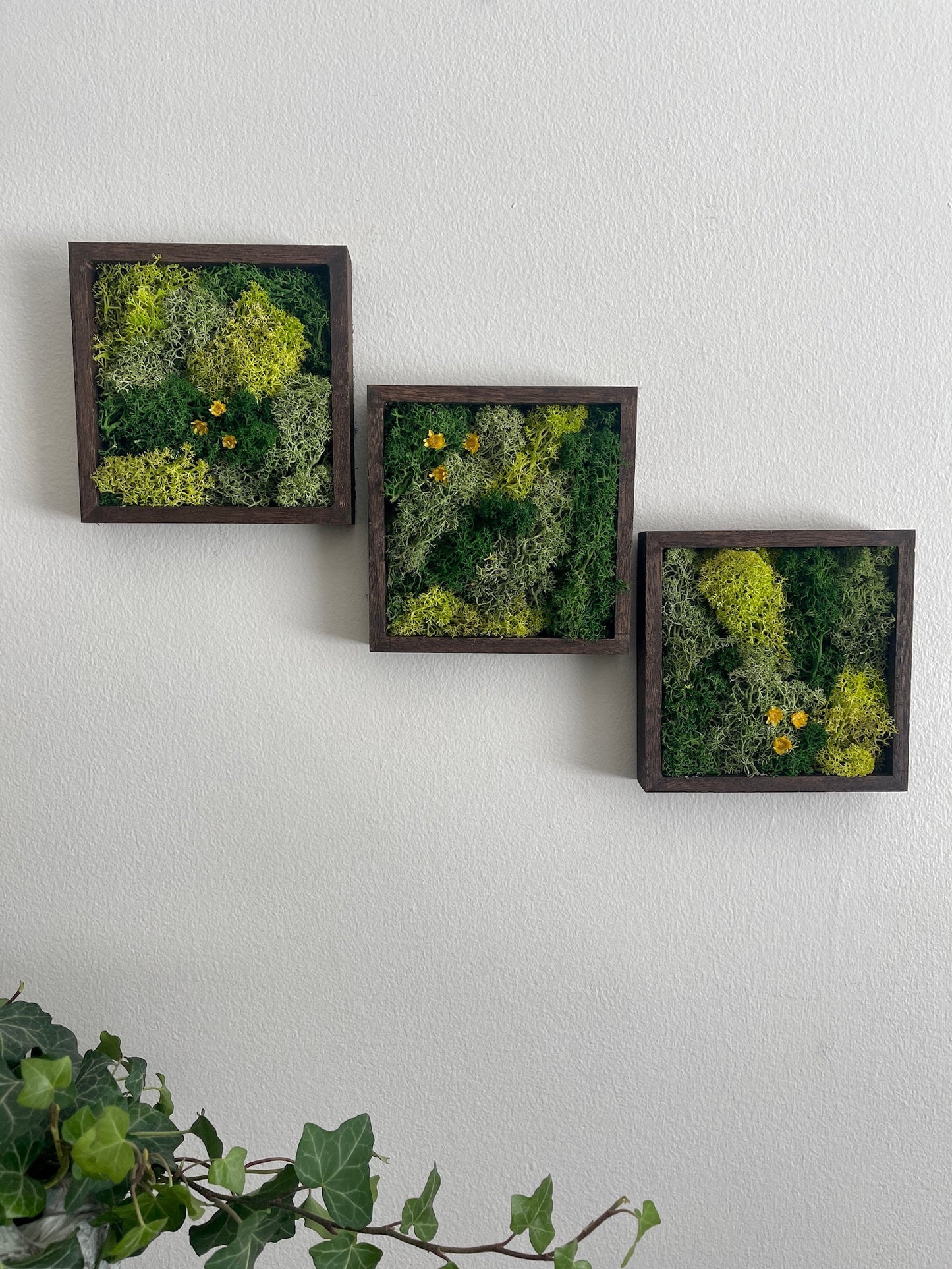 Moss Wall Art | Moss Decor | Single to Set of Six | Wood Square Frame  | Preserved Moss | Live Moss | Green with Preserved Flowers