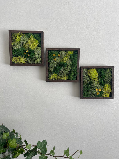 Moss Wall Art | Moss Decor | Single to Set of Six | Wood Square Frame  | Preserved Moss | Live Moss | Green with Preserved Flowers