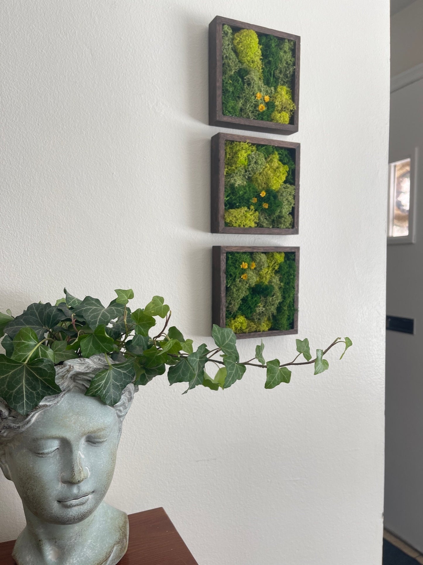 Preserved Reindeer Moss Wall Art: Wood Frame, Green Decor | USA - TARIFF FREE