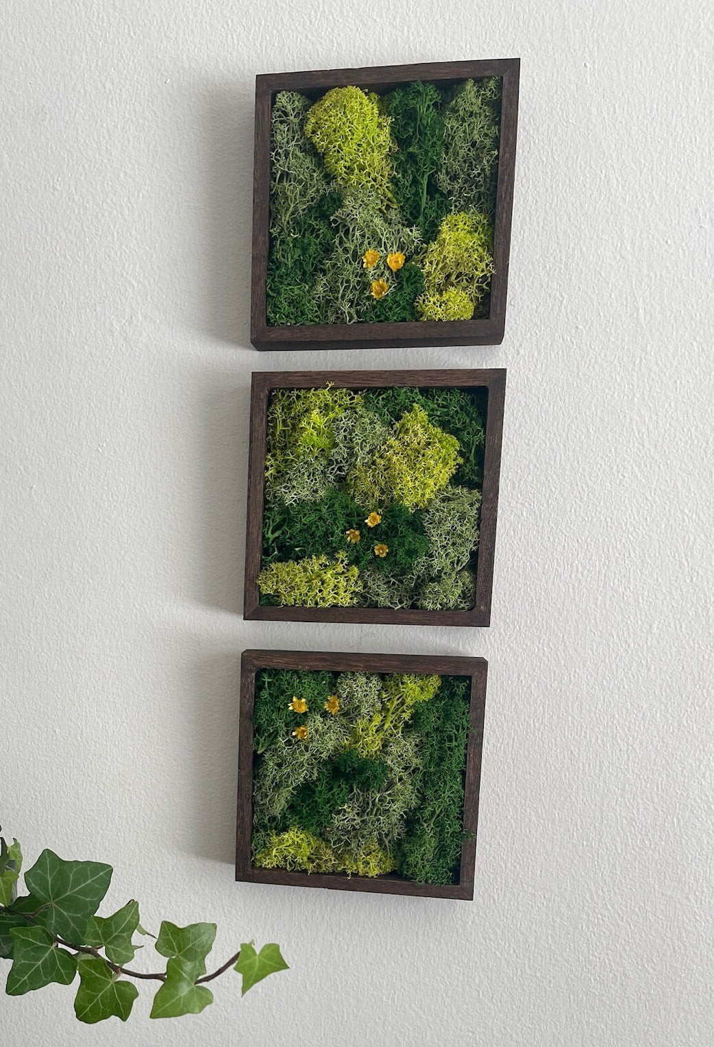 Preserved Reindeer Moss Wall Art: Wood Frame, Green Decor | USA - TARIFF FREE