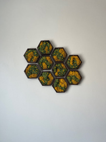 Moss Wall Art  | Honeycomb Moss Single to Set of Twelve |  Home Decor | Wood Hexagon | Green Yellow Preserved Flowers | Mothers Day Gift