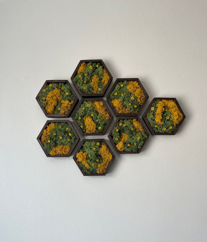 Moss Wall Art  | Honeycomb Moss Single to Set of Twelve |  Home Decor | Wood Hexagon | Green Yellow Preserved Flowers | Mothers Day Gift