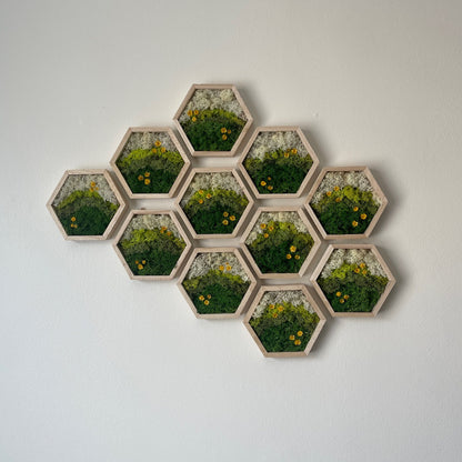 Moss Wall Art | Preserved Moss Decor | Single to Set of Twelve | Wood Hexagon Honeycomb | Mothers Day Gift