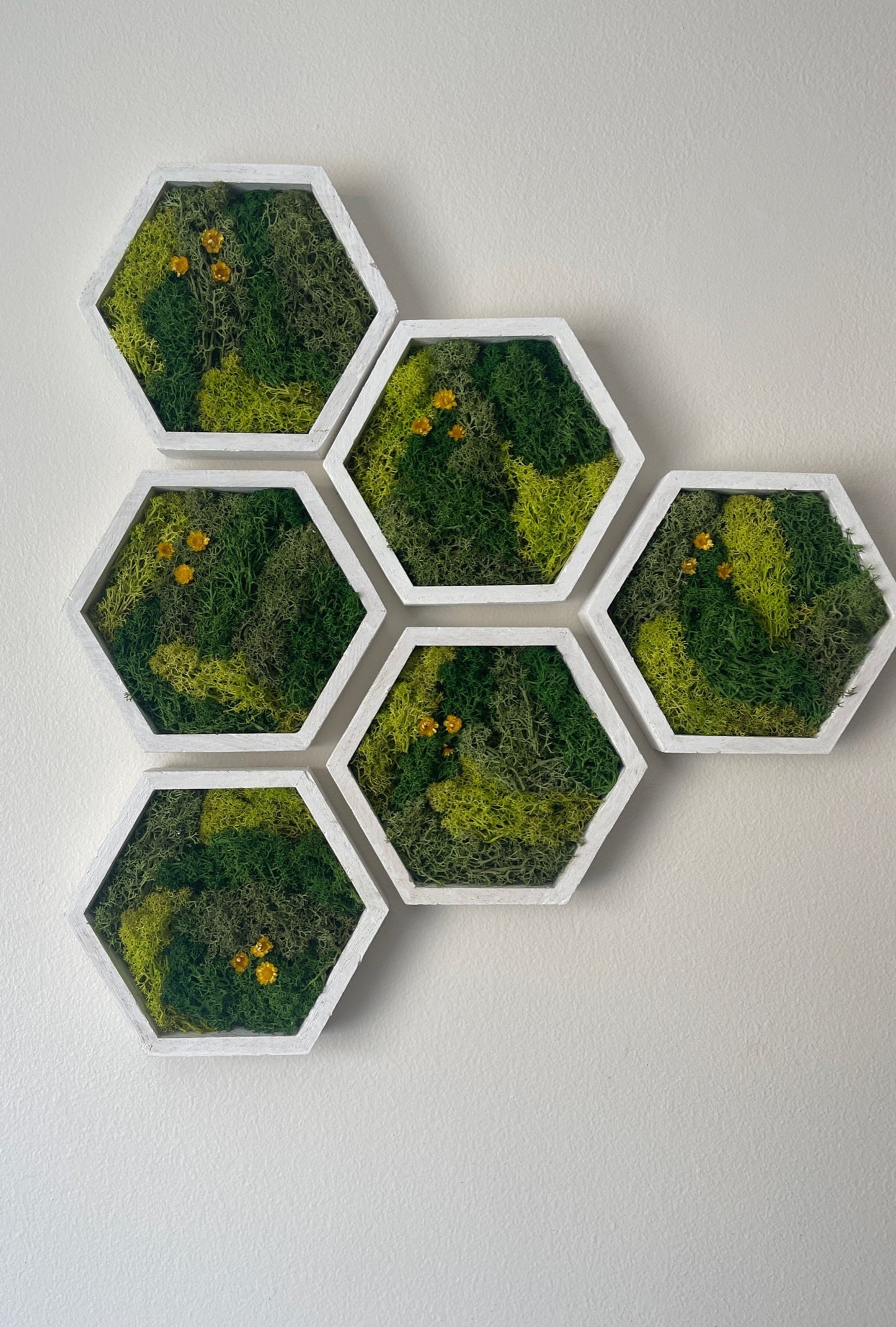 Honeycomb Preserved Moss Wall Art: Wood Hexagon Frame, Green Reindeer Moss | USA - TARIFF FREE