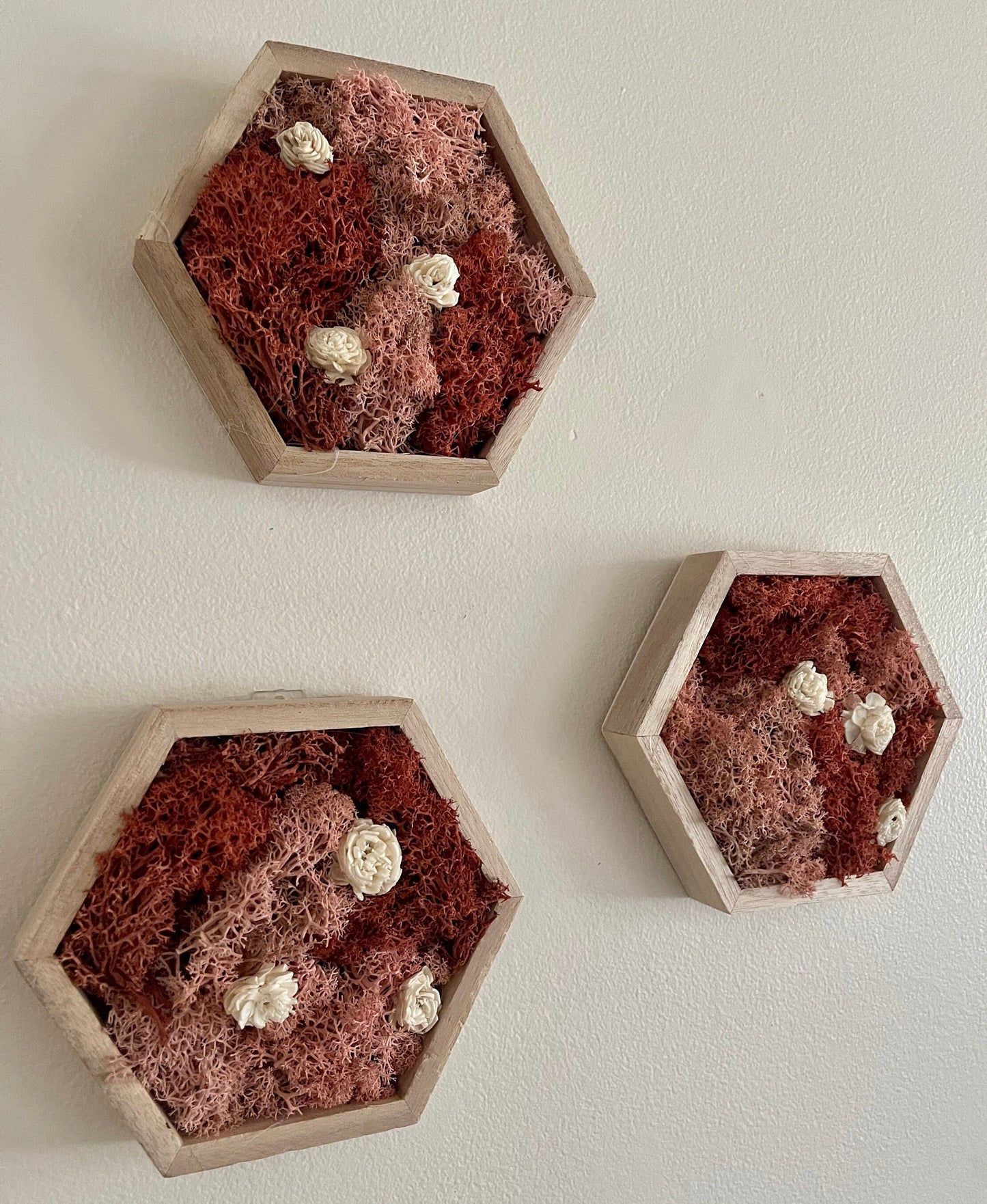 Moss Wall Art | Preserved Moss Wall Decor | Single to Set of Twelve | Wood Hexagon  | Pink and White