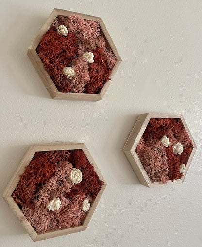 Moss Wall Art | Preserved Moss Wall Decor | Single to Set of Twelve | Wood Hexagon  | Pink and White