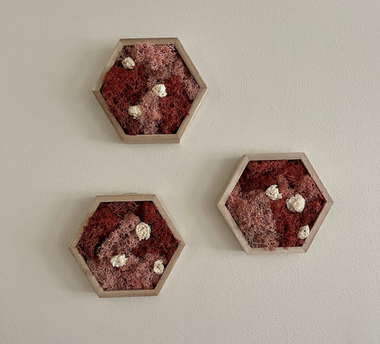 Moss Wall Art | Preserved Moss Wall Decor | Single to Set of Twelve | Wood Hexagon  | Pink and White