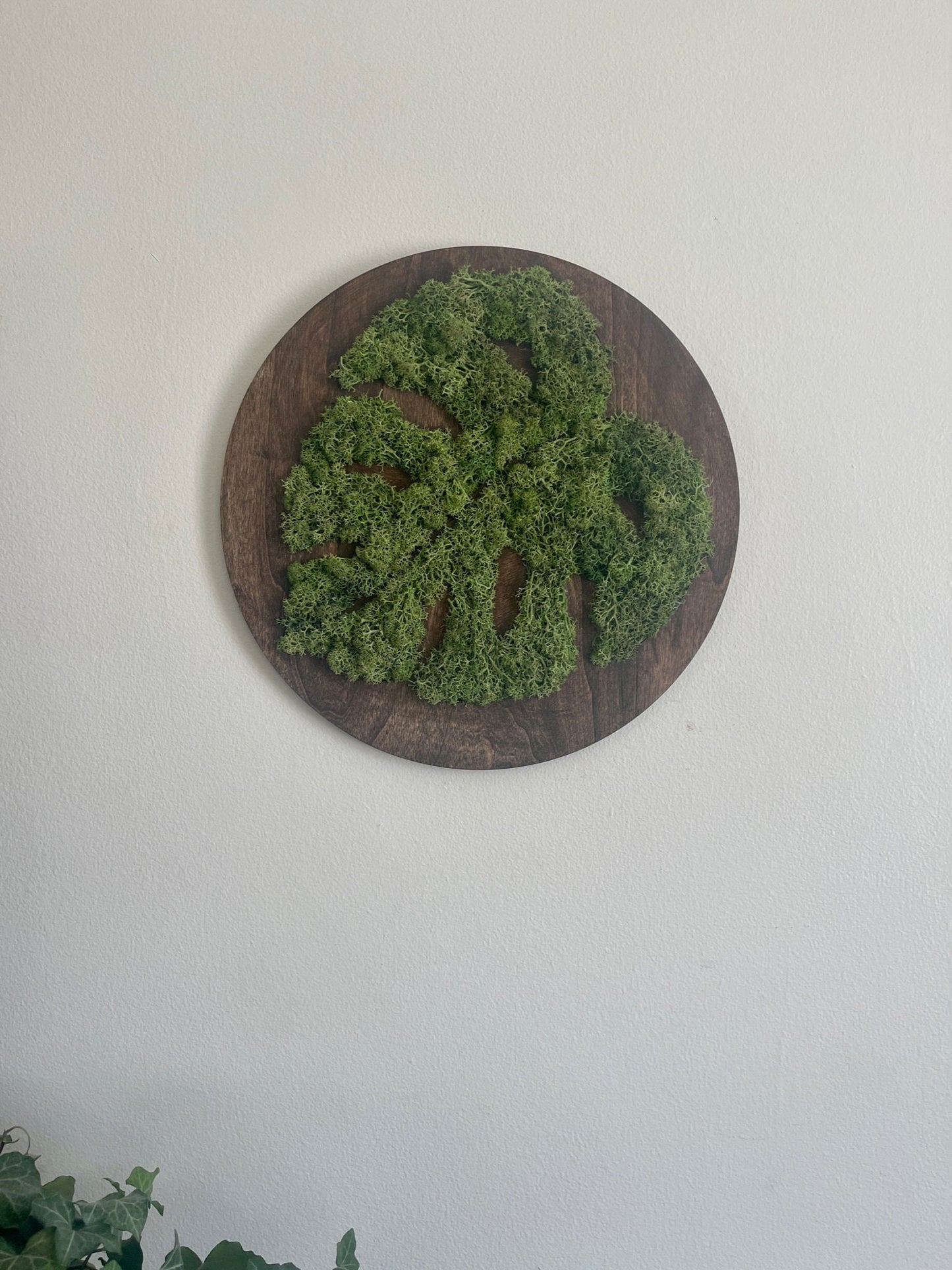 Monstera Moss Wall Art: Round Wood Frame, Preserved Reindeer Moss | USA - TARIFF FREE