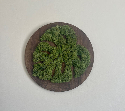 Moss Wall Art | Monstera Plant Round Wood Frame | Medium Green Reindeer Moss | Wedding Gift