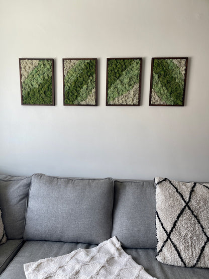 Preserved Moss Wall Art: Rectangle Wood Frame, Green & White | USA - TARIFF FREE