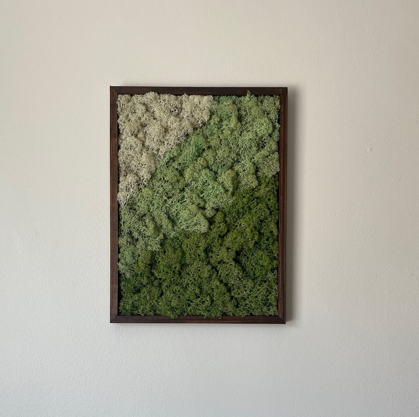 Preserved Moss Wall Art: Rectangle Wood Frame, Green & White | USA - TARIFF FREE