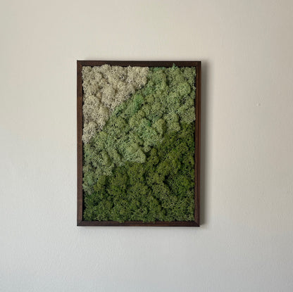 Preserved Moss Wall Art: Rectangle Wood Frame, Green & White | USA - TARIFF FREE