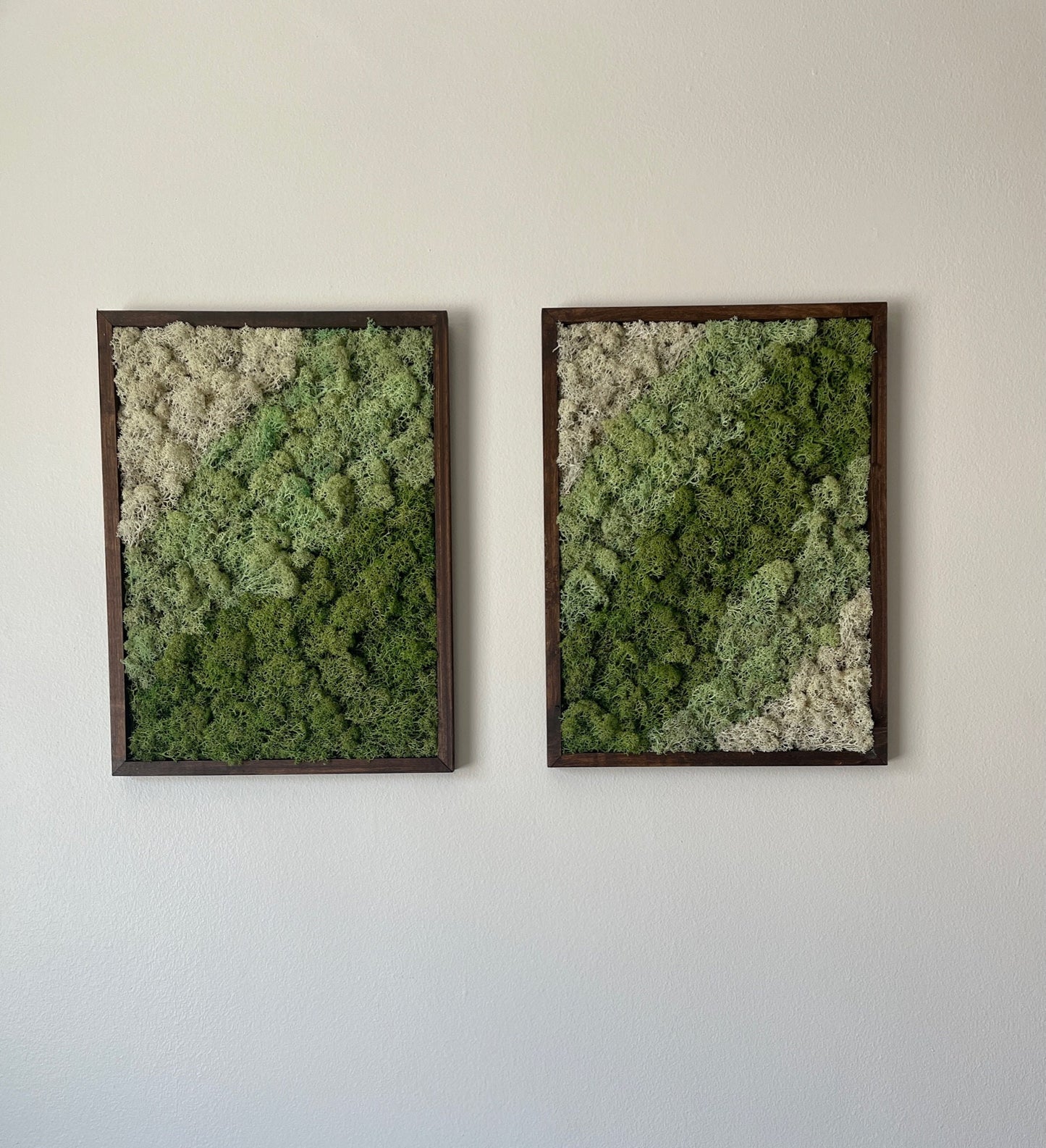 Preserved Moss Wall Art: Rectangle Wood Frame, Green & White | USA - TARIFF FREE