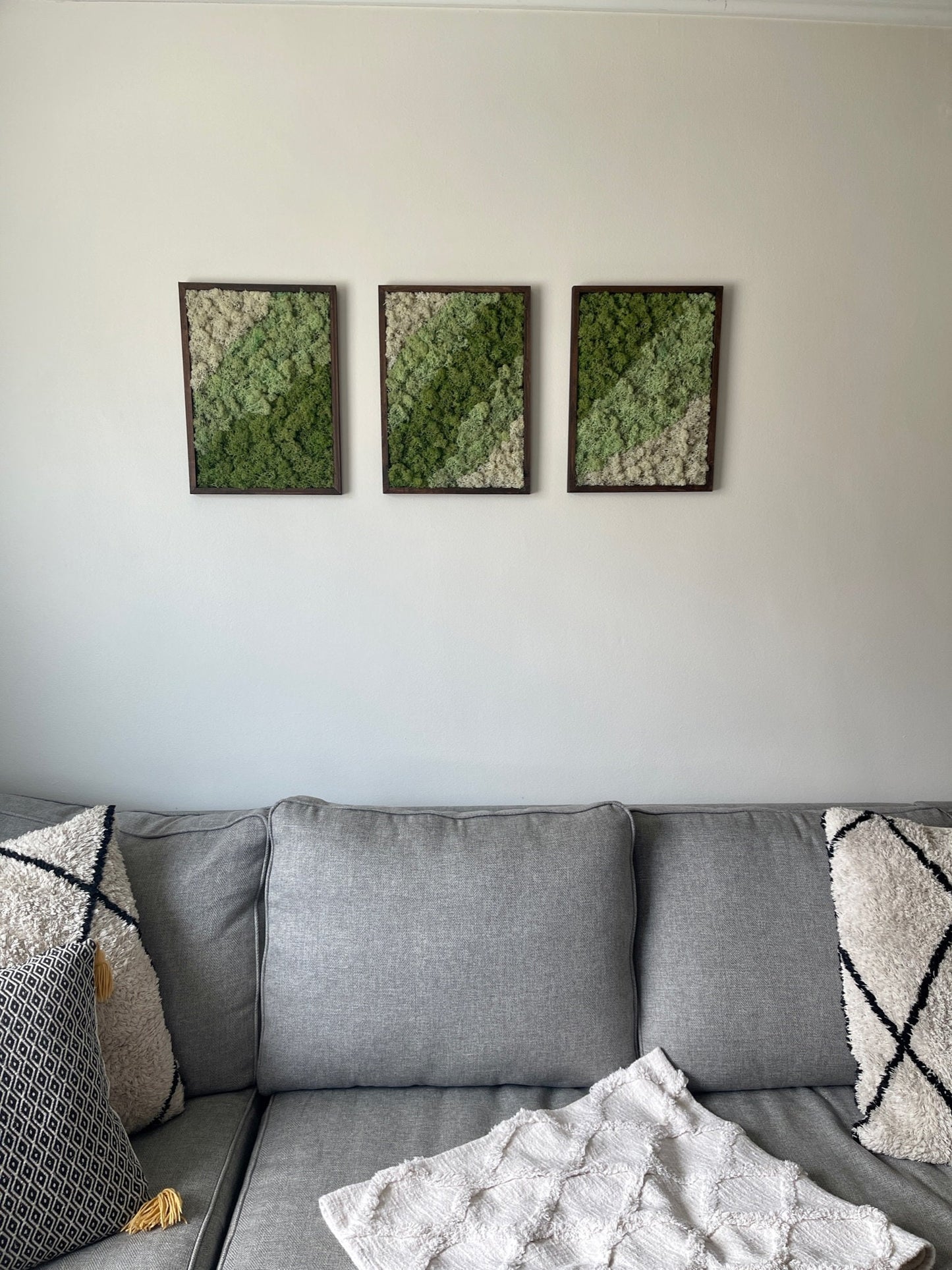 Preserved Moss Wall Art: Rectangle Wood Frame, Green & White | USA - TARIFF FREE