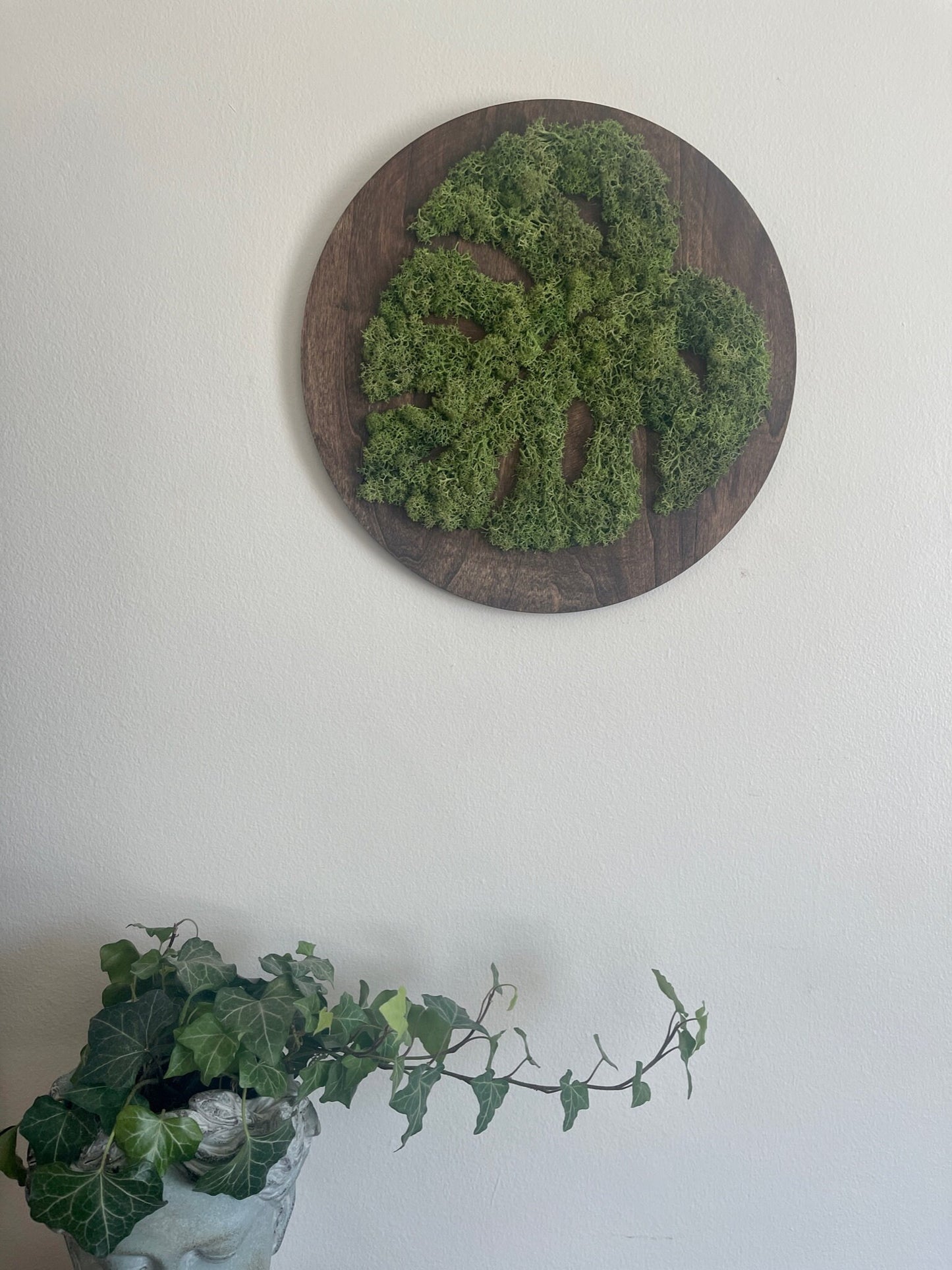 Monstera Moss Wall Art: Round Wood Frame, Preserved Reindeer Moss | USA - TARIFF FREE