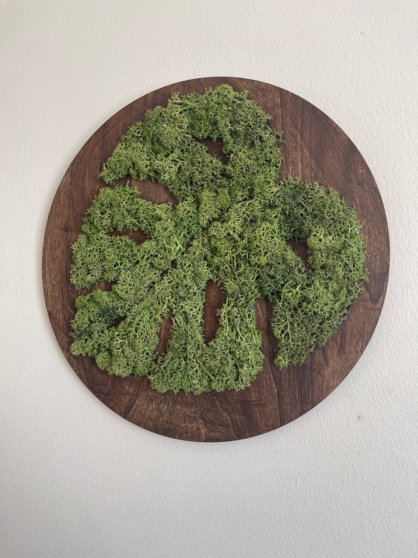 Moss Wall Art | Monstera Plant Round Wood Frame | Medium Green Reindeer Moss | Wedding Gift