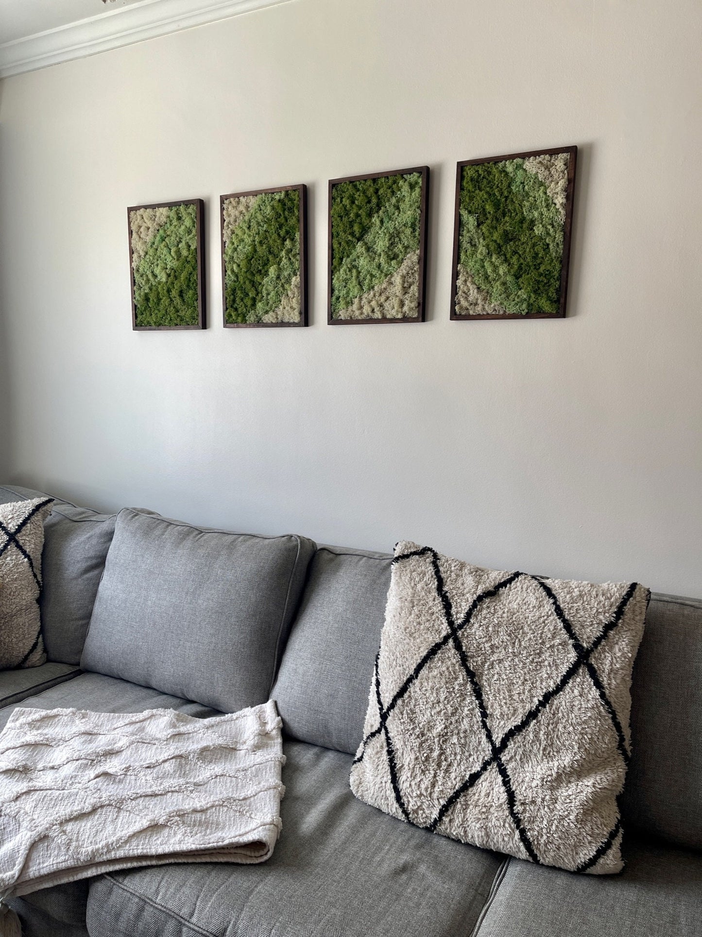 Preserved Moss Wall Art: Rectangle Wood Frame, Green & White | USA - TARIFF FREE