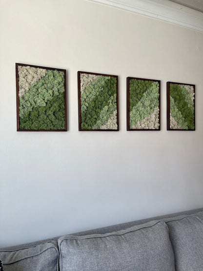 Preserved Moss Wall Art: Rectangle Wood Frame, Green & White | USA - TARIFF FREE