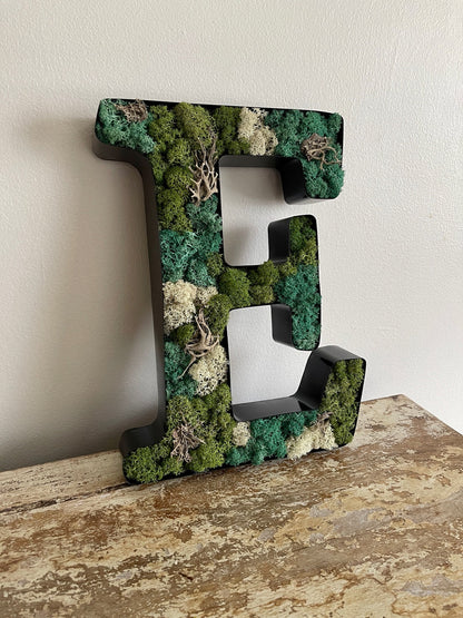 Preserved Moss Wall Letter: Custom Reindeer Moss Art | USA - TARIFF FREE