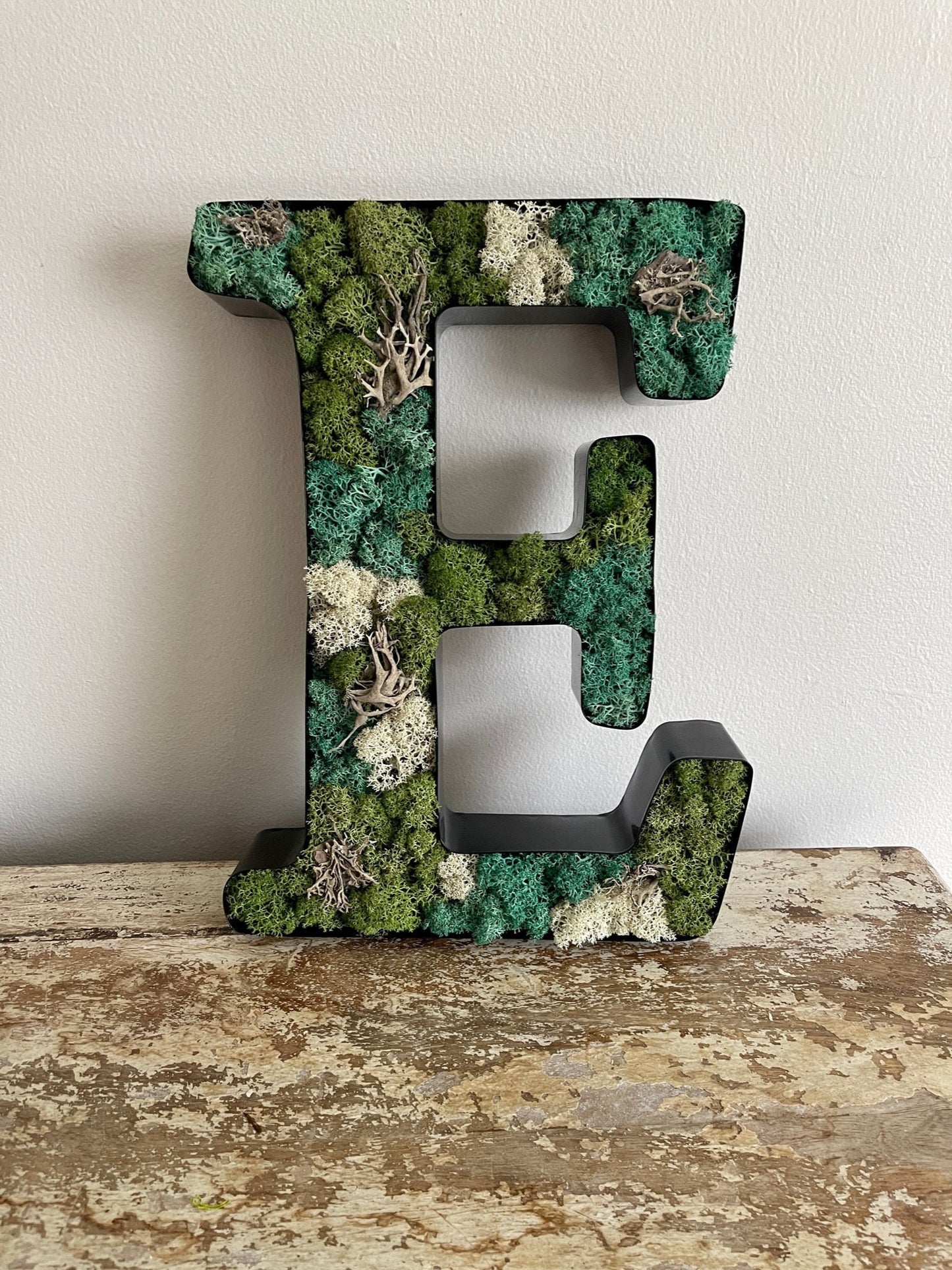 Preserved Moss Wall Letter: Custom Reindeer Moss Art | USA - TARIFF FREE