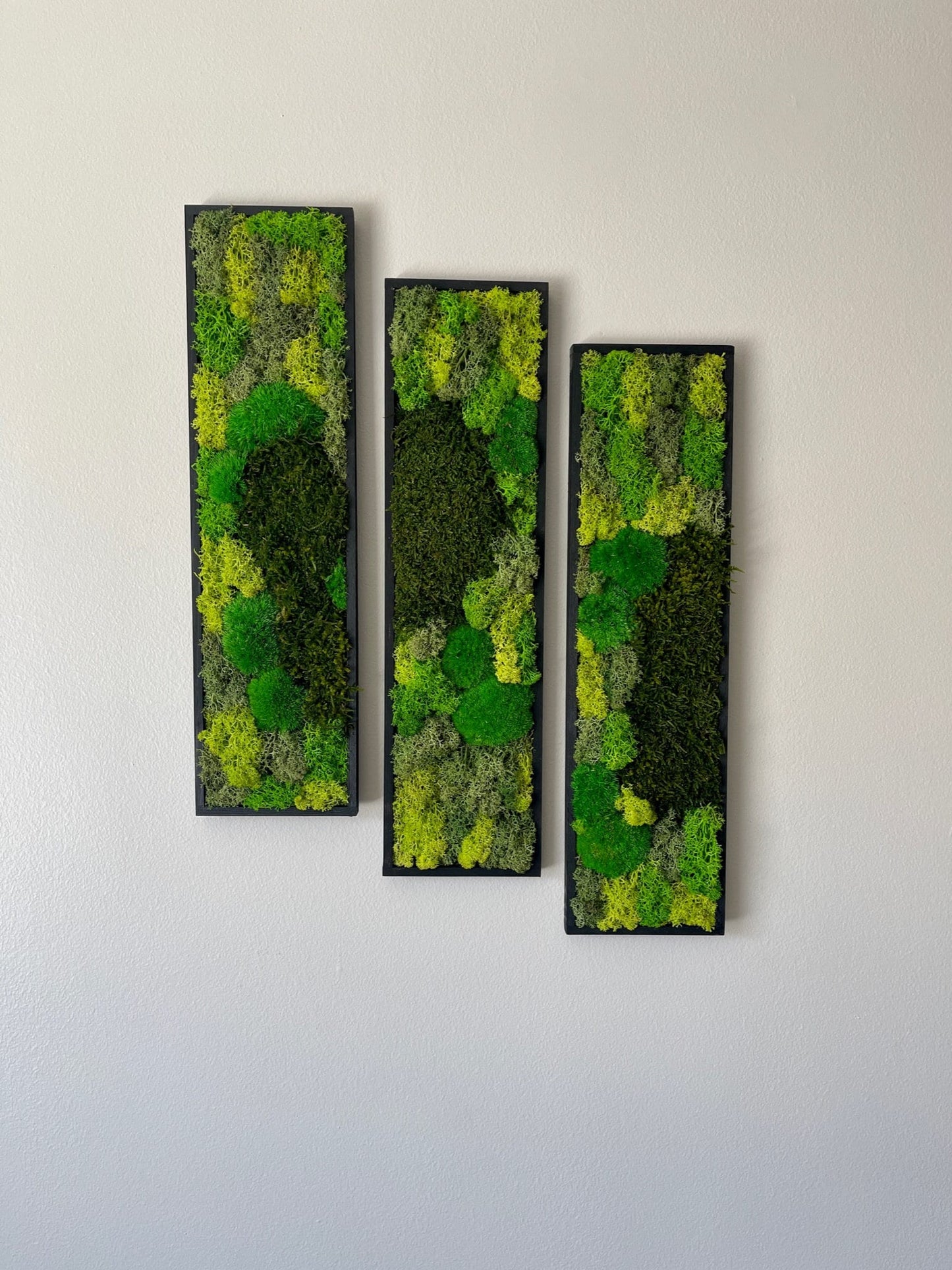 Framed Reindeer Moss Wall Art: Rectangle Panel Set | USA - TARIFF FREE
