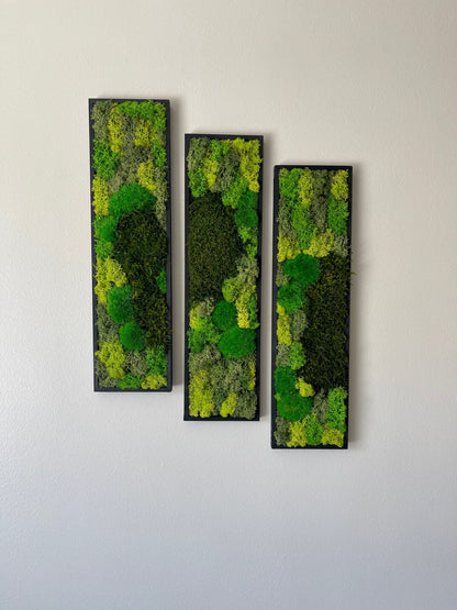 Framed Reindeer Moss Wall Art: Rectangle Panel Set | USA - TARIFF FREE