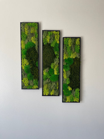 Framed Reindeer Moss Wall Art: Rectangle Panel Set | USA - TARIFF FREE