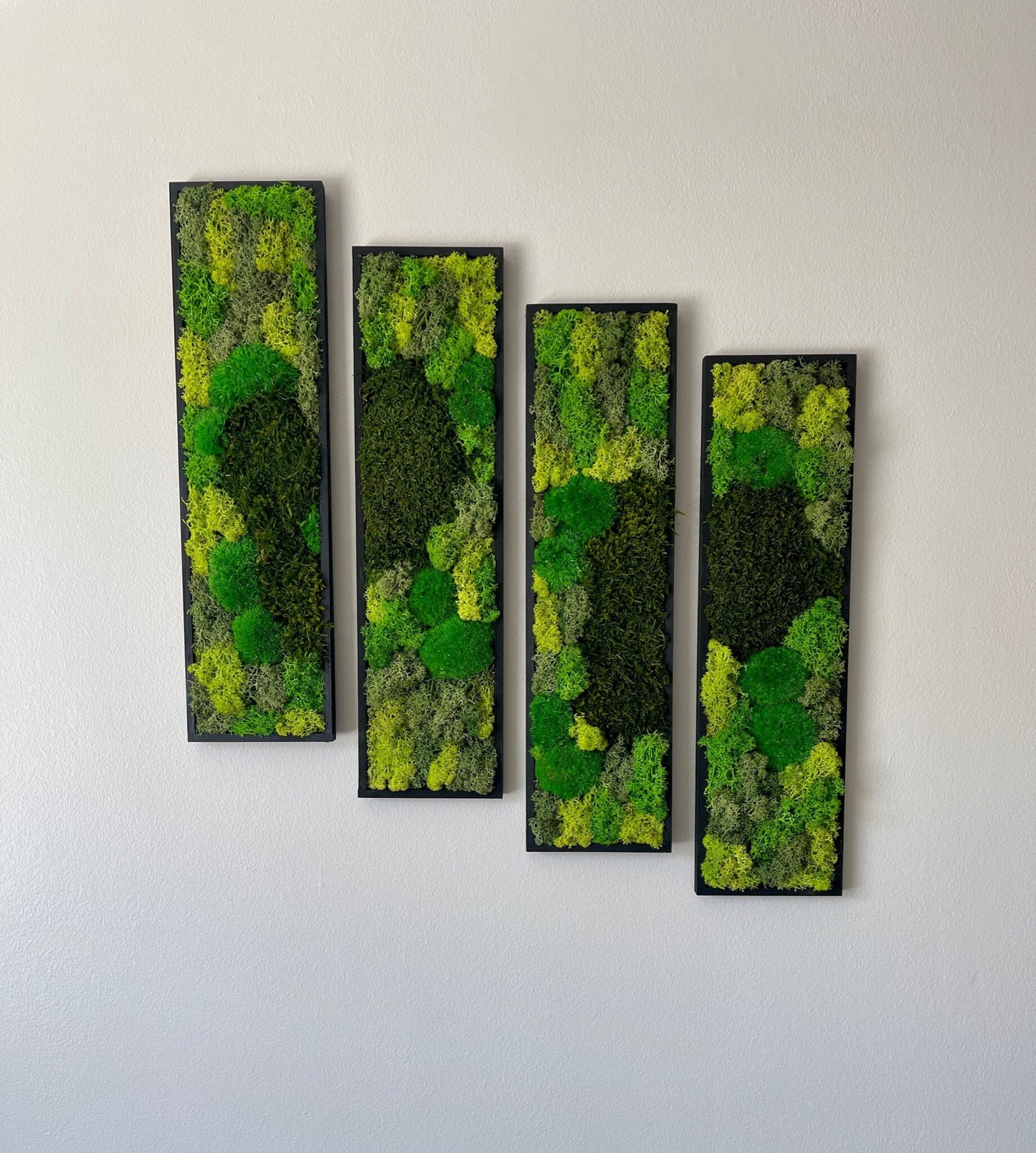 Framed Reindeer Moss Wall Art: Rectangle Panel Set | USA - TARIFF FREE