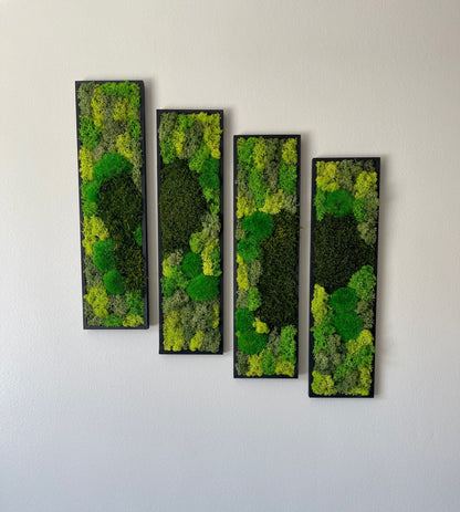 Framed Reindeer Moss Wall Art: Rectangle Panel Set | USA - TARIFF FREE